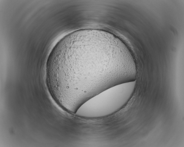 X0000115811479200911131032