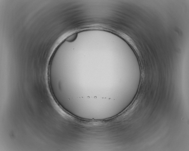 X0000115811482200911131032