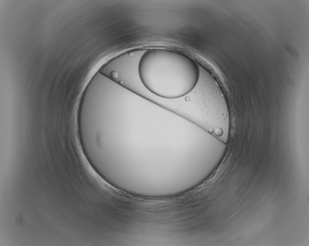 X0000115811483200911131032