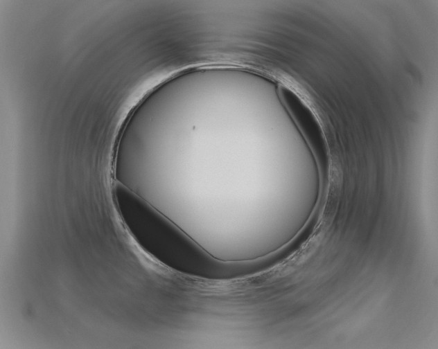 X0000115811485200911131032