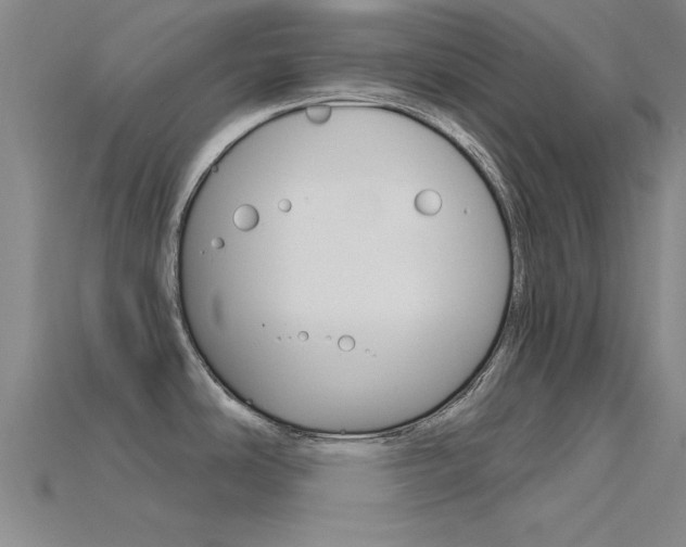 X0000115811486200911131032
