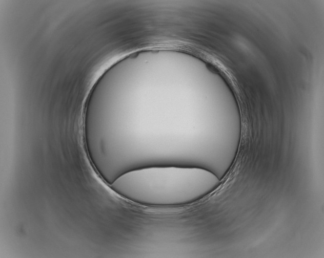 X0000115811487200911131032