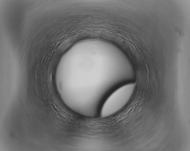 X0000115811489200911131032