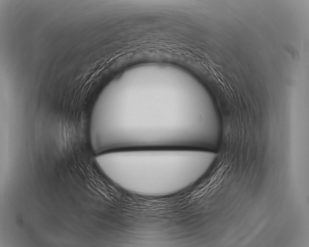 X0000115811490200911131032