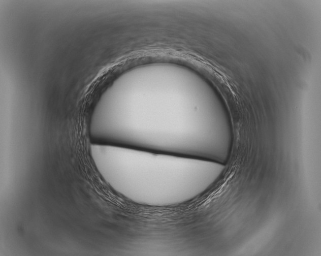 X0000115811494200911131032