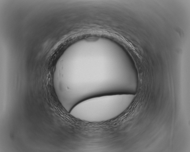 X0000115811495200911131032