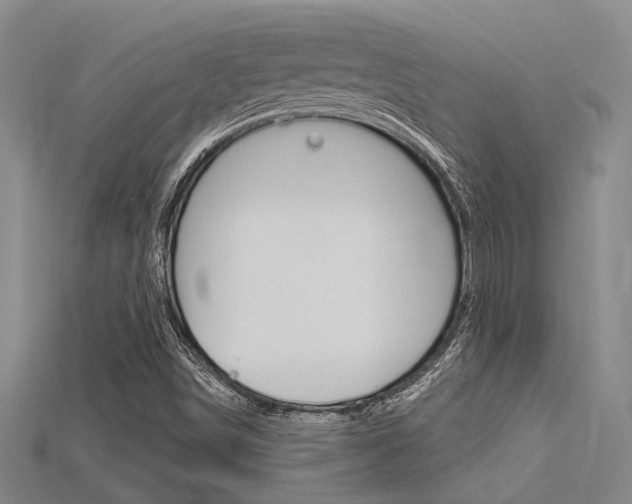 X0000115811498200911131032