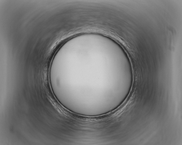 X0000115811499200911131032