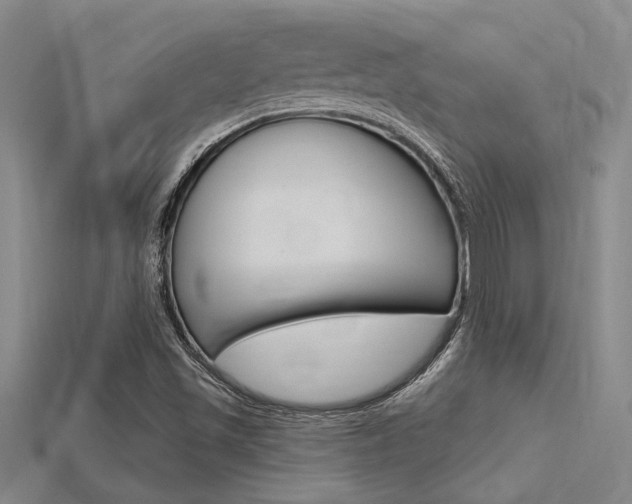 X0000115811501200911131032