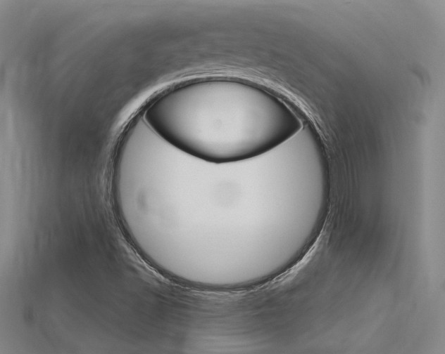 X0000115811502200911131032