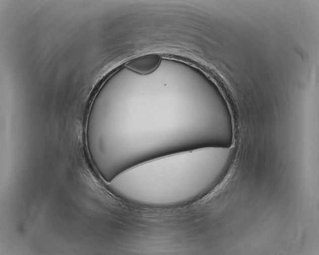 X0000115811505200911131032