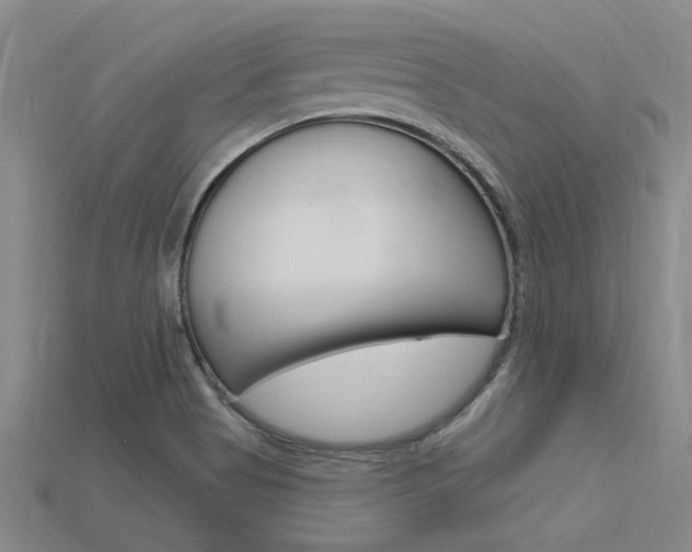 X0000115811513200911131032