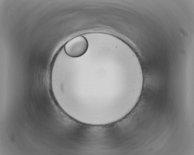 X0000115811514200911131032