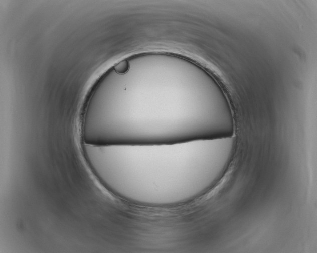 X0000115811517200911131032
