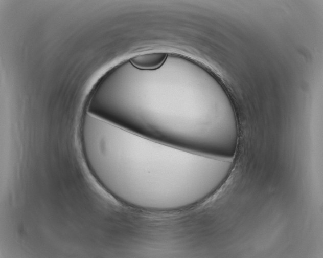 X0000115811518200911131032
