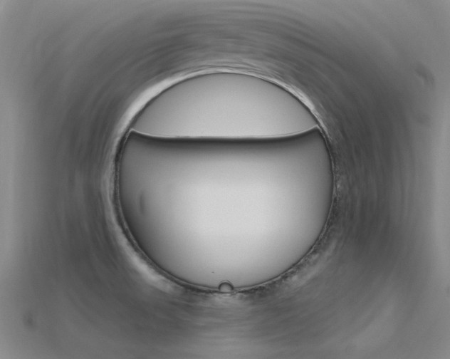 X0000115811523200911131032