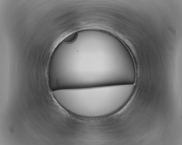 X0000115811529200911131032