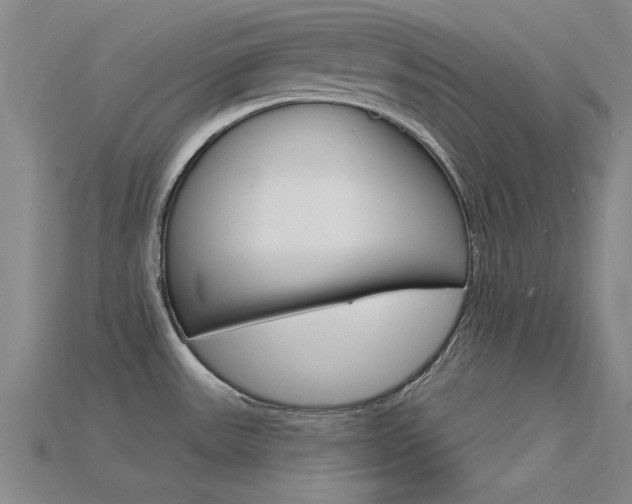 X0000115811531200911131032