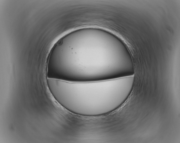 X0000115811534200911131032