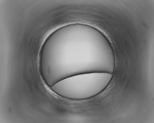 X0000115811535200911131032