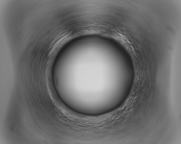 X0000115810001200911131430