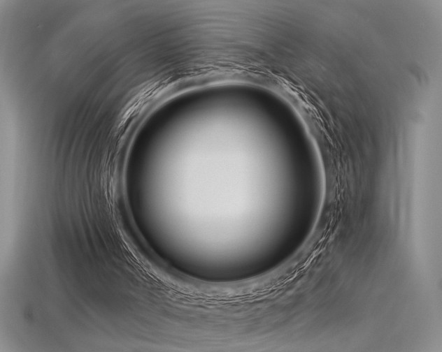 X0000115810002200911131430