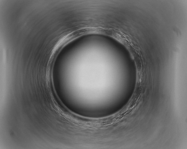 X0000115810004200911131430