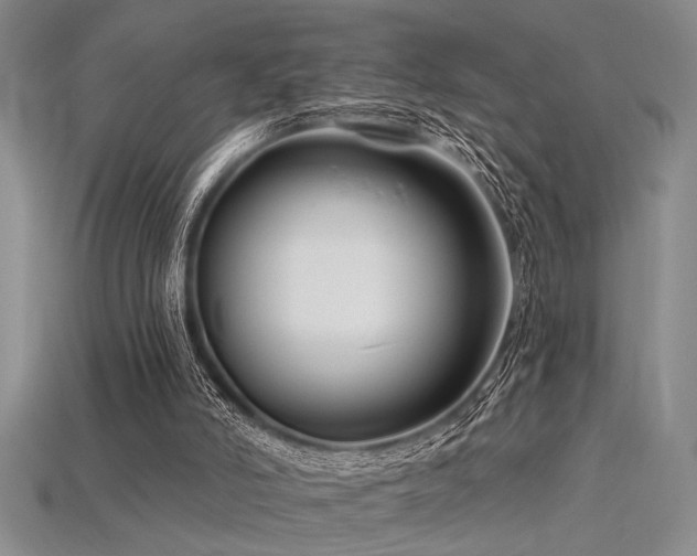 X0000115810006200911131430