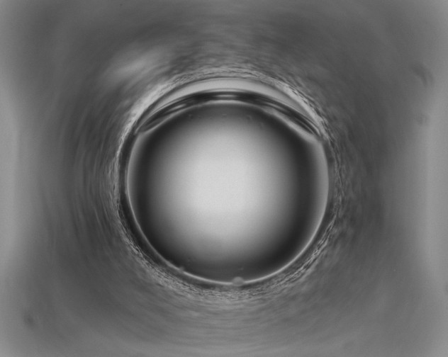 X0000115810008200911131430