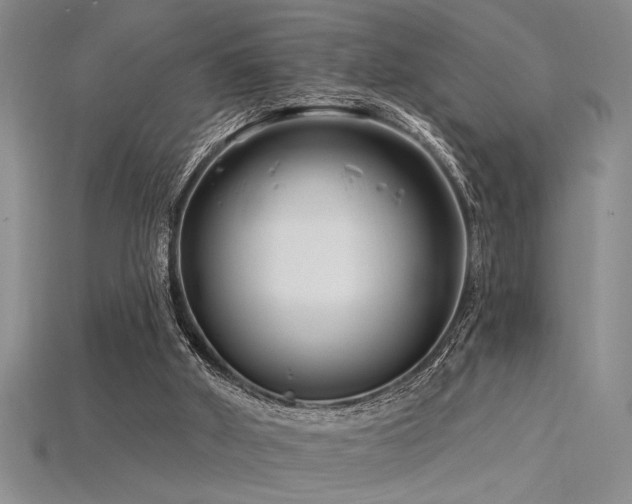 X0000115810010200911131430