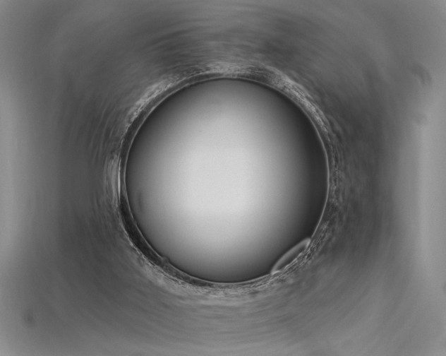 X0000115810011200911131430