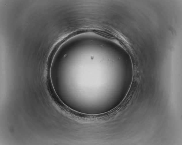 X0000115810012200911131430