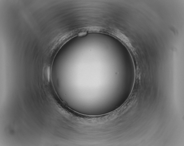 X0000115810013200911131430