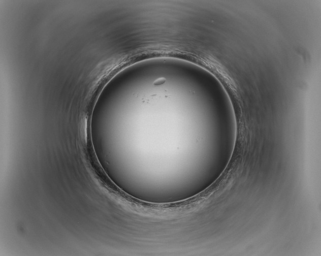 X0000115810014200911131429