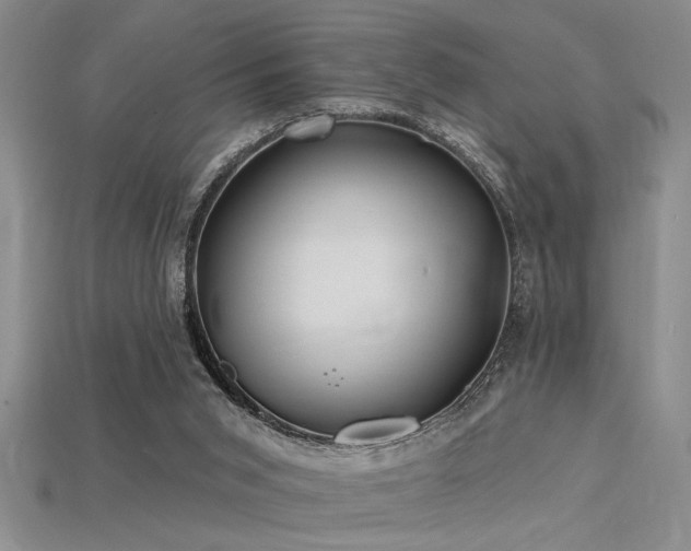 X0000115810015200911131429