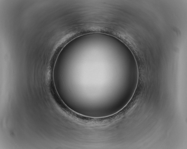 X0000115810016200911131429
