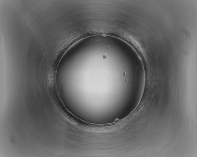 X0000115810017200911131429