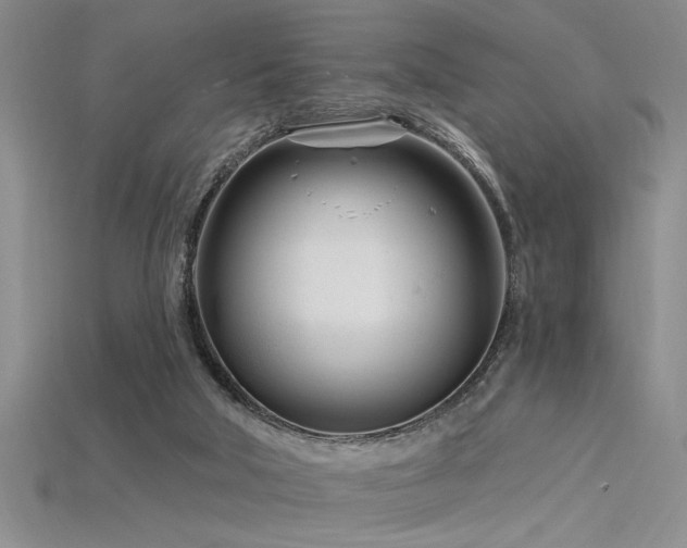 X0000115810018200911131429