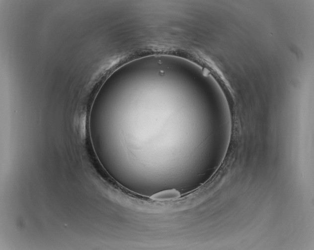 X0000115810019200911131429