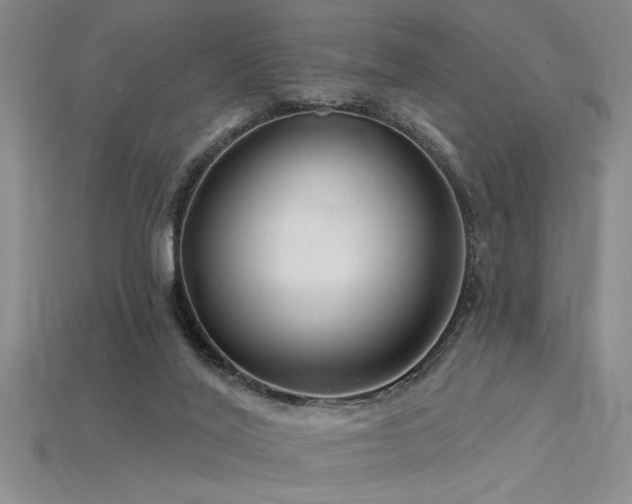 X0000115810020200911131429