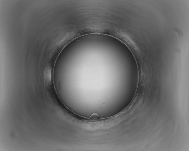 X0000115810021200911131429