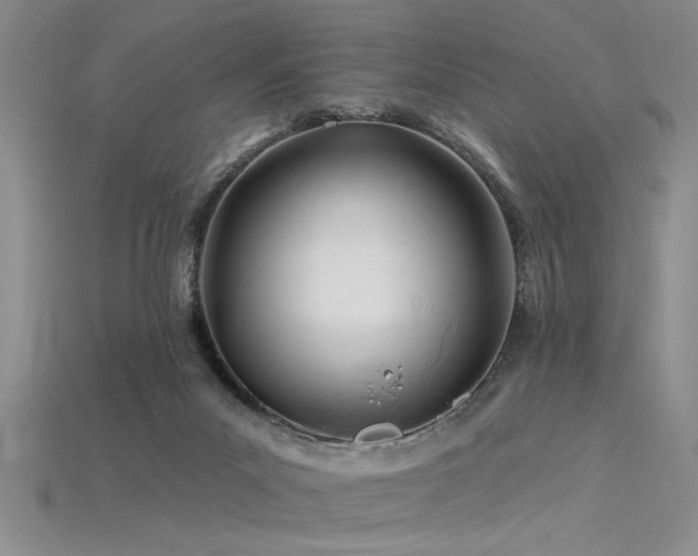 X0000115810023200911131429