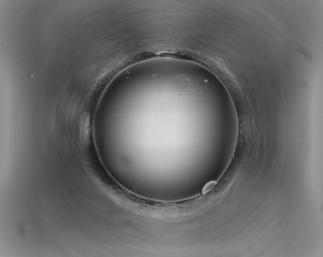 X0000115810024200911131429