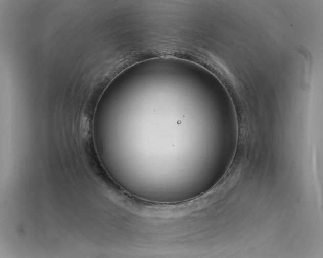 X0000115810025200911131429