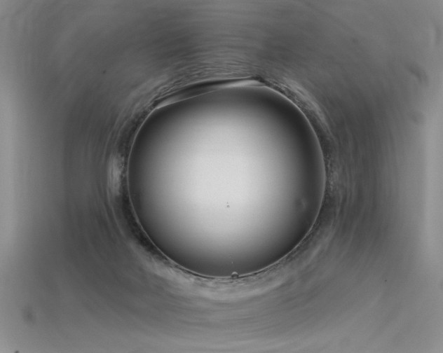 X0000115810026200911131429