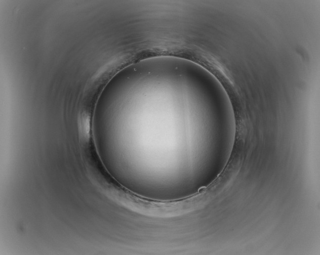 X0000115810027200911131429