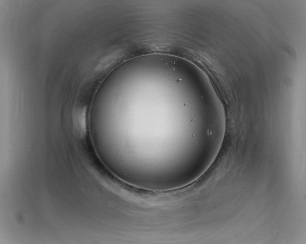 X0000115810028200911131429