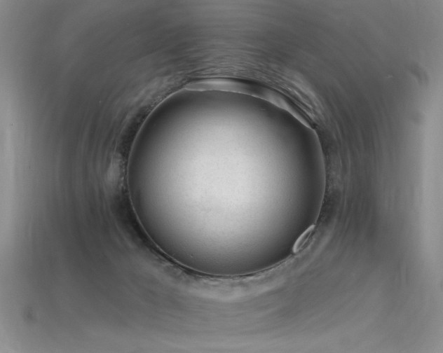 X0000115810029200911131429