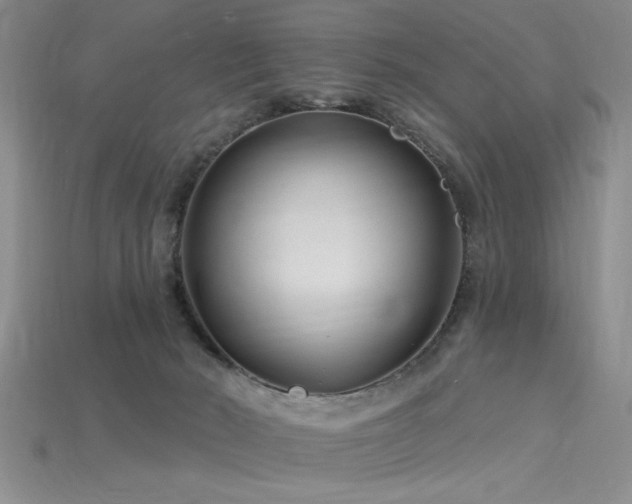 X0000115810030200911131429