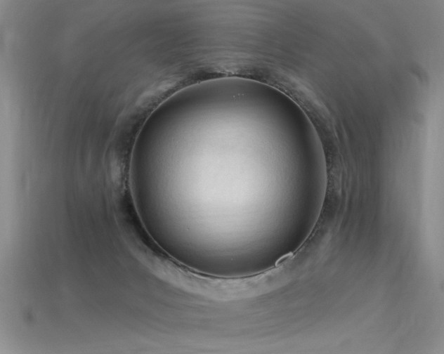 X0000115810031200911131429